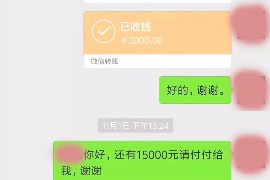 连城为什么选择专业追讨公司来处理您的债务纠纷？